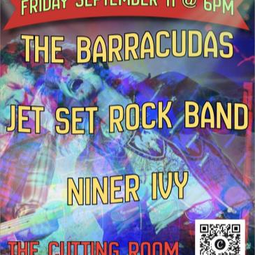 The Barracudas/Jet Set Rock Band/Niner Ivy